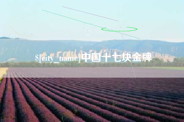 玉田中国十七块金牌