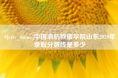 玉田中国消防救援学院山东2020年录取分数线是多少
