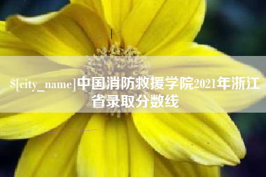 玉田中国消防救援学院2021年浙江省录取分数线