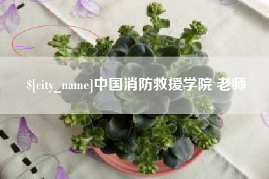 玉田中国消防救援学院 老师
