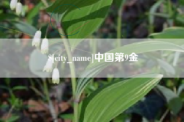 玉田中国第9金