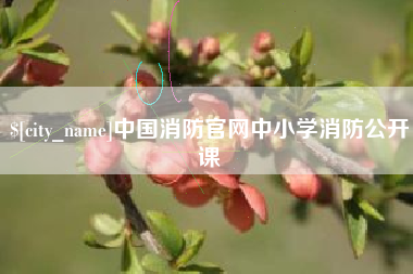 玉田中国消防官网中小学消防公开课