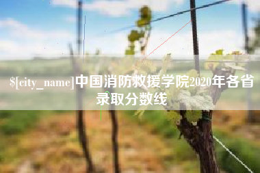 玉田中国消防救援学院2020年各省录取分数线