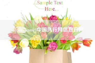 玉田中国执行网信息官网