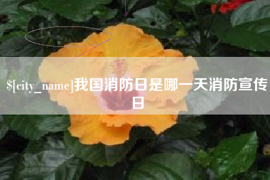玉田我国消防日是哪一天消防宣传日