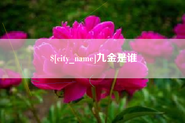 玉田九金是谁