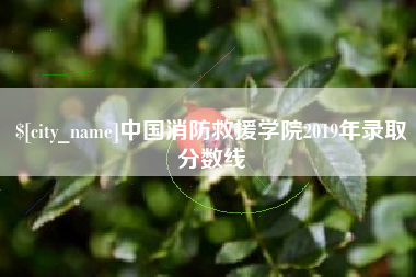玉田中国消防救援学院2019年录取分数线