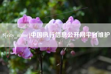 玉田中国执行信息公开网平台维护