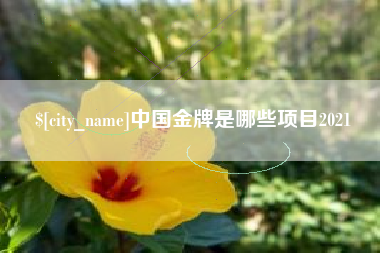 玉田中国金牌是哪些项目2021