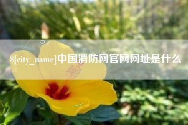 玉田中国消防网官网网址是什么