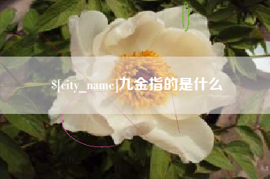 玉田九金指的是什么