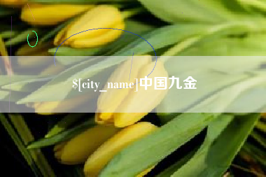 玉田中国九金