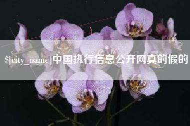 玉田中国执行信息公开网真的假的