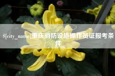 玉田重庆消防设施操作员证报考条件
