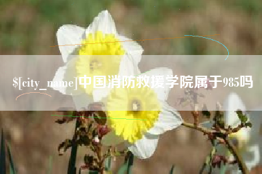 玉田中国消防救援学院属于985吗