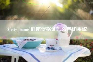 玉田消防资格证怎么查询系统