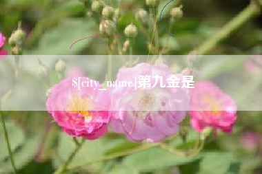 玉田第九金是