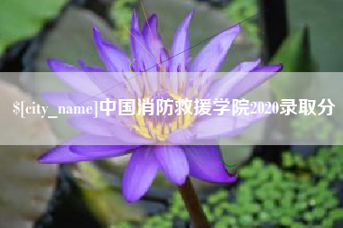 玉田中国消防救援学院2020录取分