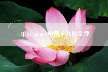 玉田中国十九枚金牌