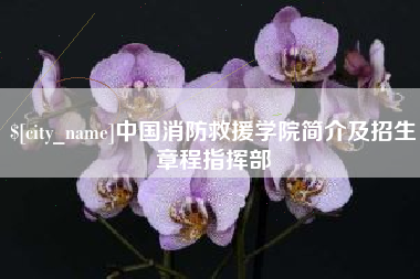玉田中国消防救援学院简介及招生章程指挥部
