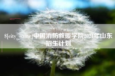 玉田中国消防救援学院2021年山东招生计划