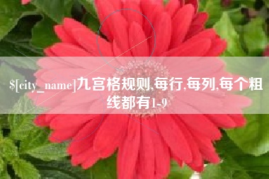 玉田九宫格规则,每行,每列,每个粗线都有1-9