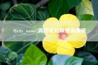 玉田消防证初级查询系统