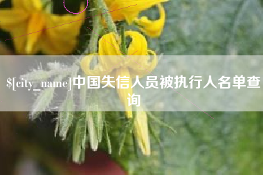 玉田中国失信人员被执行人名单查询