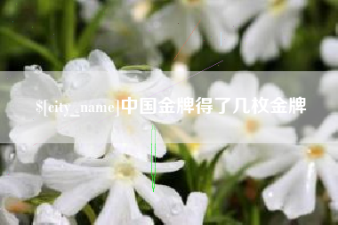 玉田中国金牌得了几枚金牌