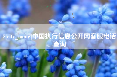 玉田中国执行信息公开网客服电话查询