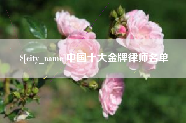 玉田中国十大金牌律师名单