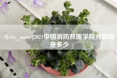 玉田2021中国消防救援学院分数线是多少