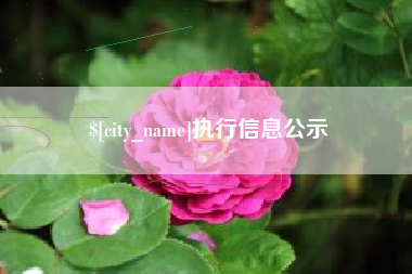 玉田执行信息公示