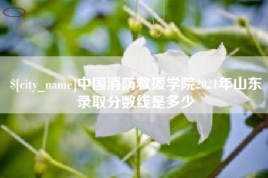 玉田中国消防救援学院2021年山东录取分数线是多少