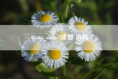 玉田成都 消防
