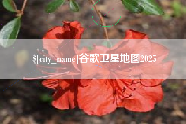 玉田谷歌卫星地图2025