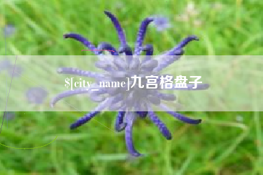 玉田九宫格盘子