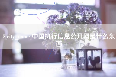 玉田中国执行信息公开网是什么东西