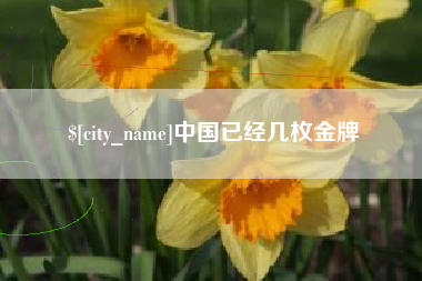 玉田中国已经几枚金牌