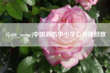 玉田中国消防中小学公开课回放