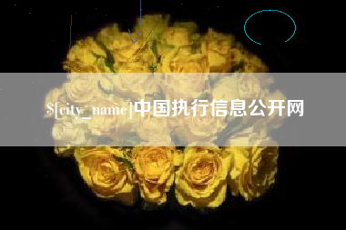 玉田中国执行信息公开网