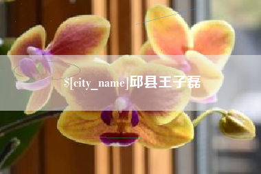 玉田邱县王子磊