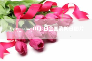 玉田11月9日全国消防日图片