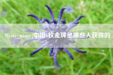 玉田中国6枚金牌是哪些人获得的
