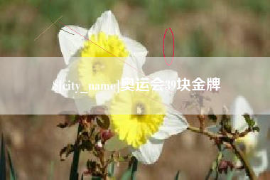 玉田奥运会39块金牌