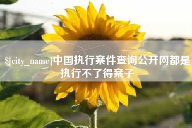 玉田中国执行案件查询公开网都是执行不了得案子