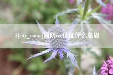 玉田消防ccc认证什么意思