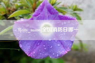 玉田全国消防日哪一