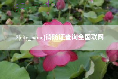 玉田消防证查询全国联网