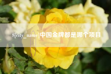 玉田中国金牌都是哪个项目